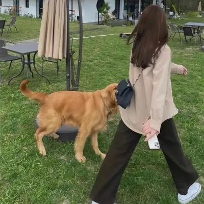 和歌子酒第七季